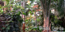 Atocha Train Station, Madrid