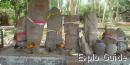 Ban Naxone megaliths, Houakoua village