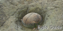 Dinosaur eggs and fossiles, Saint-André-de-Rosans, Hautes-Alpes Dinosaur eggs and fossiles, Saint-André-de-Rosans, Hautes-Alpes