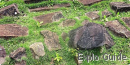 Megalithic Site of Gunung Padang