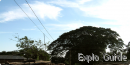 Birishiri : the last stoppage on a bus route
