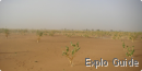 Chgaga dunes, Mhamid