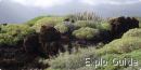 Malpaïs of Güimar walking tour, Tenerife Malpaïs of Güimar walking tour, Tenerife