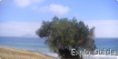 Anacapa island, Channel islands Anacapa island, Channel islands