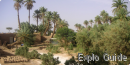 Oum Lâalag sacred oasis, Mhamid