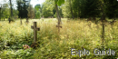 Madise lost cemetary, Paldiski