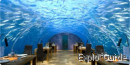 Ithaa Underwater Restaurant, Alif Dhaal Atoll Ithaa Underwater Restaurant, Alif Dhaal Atoll