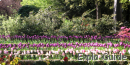 Madrid Botanic Garden, Retiro park