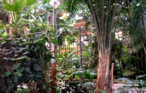 Atocha Train Station, Madrid Explo-guide - Alternative travel database