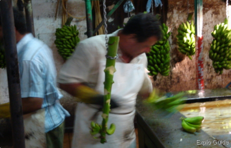 Hermigua village, La Gomera island Explo-guide - Alternative travel database