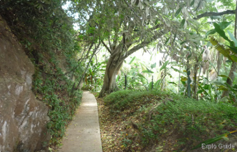 Botanical garden of Caracas Botanical garden of Caracas