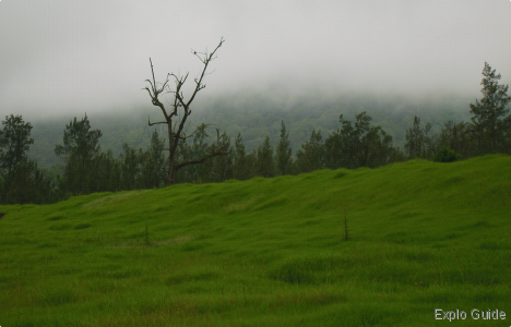 Cangai ExploGuide - Off the Path Travel and Alternative Tourism database