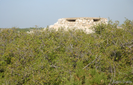 Cavallas bunkers, Carro Explo-guide - Alternative travel database