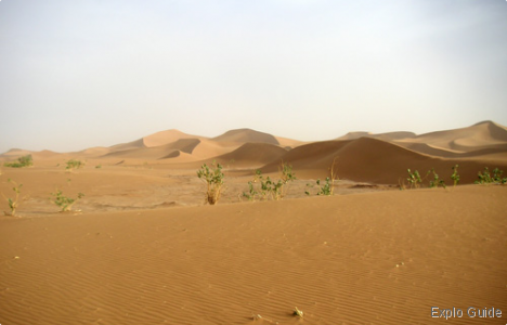 Chgaga dunes, Mhamid