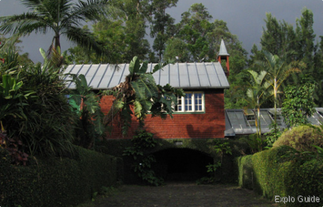 Botanic Conservatory of Mascarin , Réunion Island