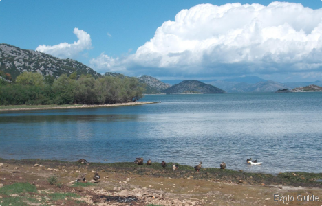 Murici Resort on Lake Skadar ExploGuide - Off the Path Travel and Alternative Tourism database