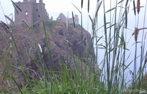 Dunnottar Castle, Scotland, Stonehave Explo-guide - Alternative travel database