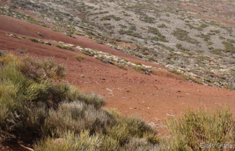 Teide Peak hike, Tenerife Island, Canary Explo-guide - Alternative travel database