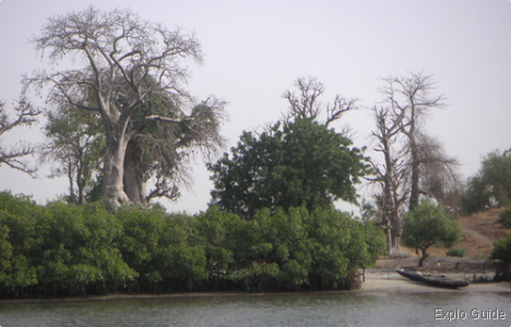 Falia village, Sine Saloum delta Falia village, Sine Saloum delta