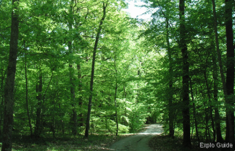 Lac d'orient, Troyes Explo-guide - Alternative travel database