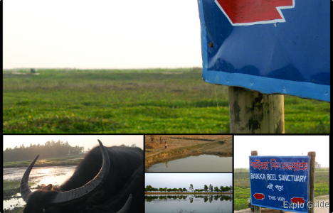 The road to bird sanctuary is marked with signboards and goes through typical Bangladeshi rural area ExploGuide - Off the Path Travel and Alternative Tourism database