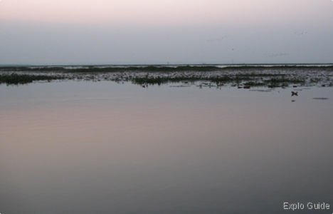 The beel is a vast wetland ExploGuide - Off the Path Travel and Alternative Tourism database