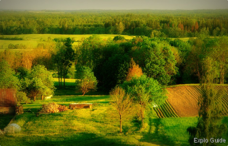 Lopaiciu mound, Tverai