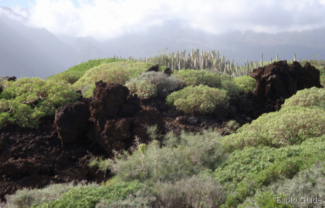 Malpaïs of Güimar walking tour, Tenerife Explo-guide - Alternative travel database