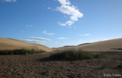 Maspalomas dunes, Gran Canaria Explo-guide - Alternative travel database