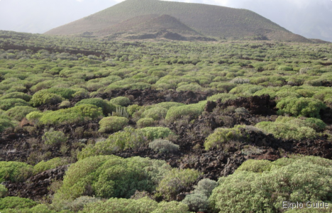 Malpaïs of Güimar walking tour, Tenerife Explo-guide - Alternative travel database