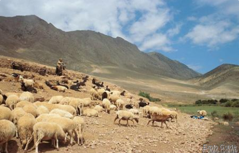 The Nomadic in the hight ATLAS Mountain in Morocco ExploGuide - Off the beaten path travel and alternative tourism database, offtrack destinations