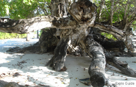Utheemu palace, Haa Alif Atoll ExploGuide - Off the Path Travel and Alternative Tourism database
