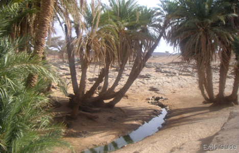 Oum Lâalag sacred oasis, Mhamid ExploGuide - Off the beaten path travel and alternative tourism database, offtrack destinations