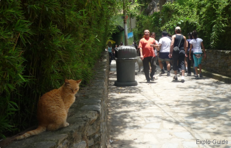 Sabas Nieves walking tour, La Avila, Caracas ExploGuide - Off the Path Travel and Alternative Tourism database