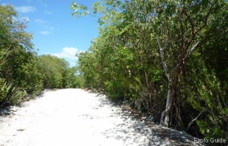 Playa Perla Blanca, Cayo Santa Maria, the access track Playa Perla Blanca, Cayo Santa Maria, the access track