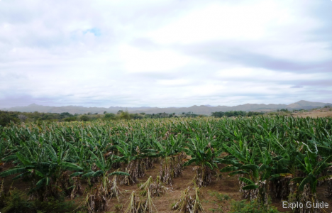 Casa Guachinango plantation, Valle de los Ingenios, the view ExploGuide - Off the beaten path travel and alternative tourism database, offtrack destinations