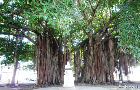 ExploGuide - Off the beaten path travel and alternative tourism database, offtrack destinations