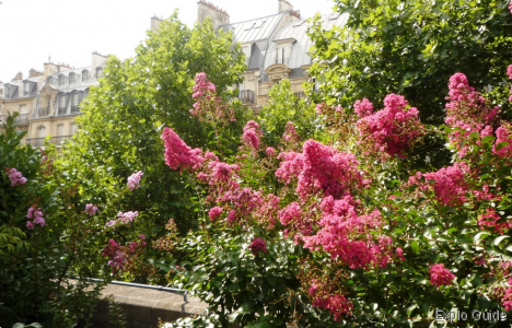 La Promenade Plantée park, Paris 12 ExploGuide - Off the Path Travel and Alternative Tourism database