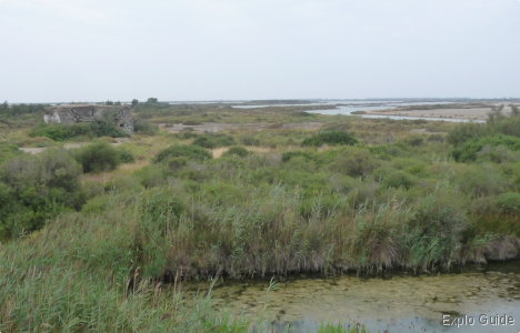 Fort de Peccais, Aigues-Mortes ExploGuide - Off the Path Travel and Alternative Tourism database