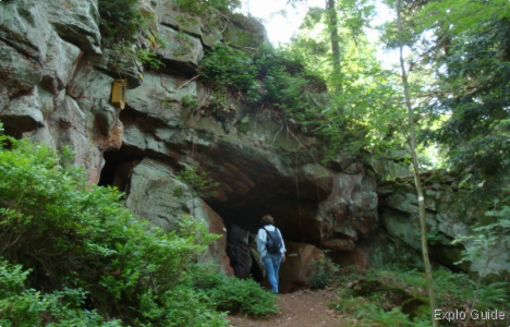 Pain-de-Sucre WW1 bunkers, Celles-sur-Plaine Explo-guide - Alternative travel database