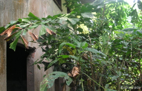 Pengerang WW2 fort, Johor ExploGuide - Off the beaten path travel and alternative tourism database, offtrack destinations