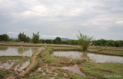 Plain of Jars site 3, Phonsavan, Xieng Khouang Plain of Jars site 3, Phonsavan, Xieng Khouang