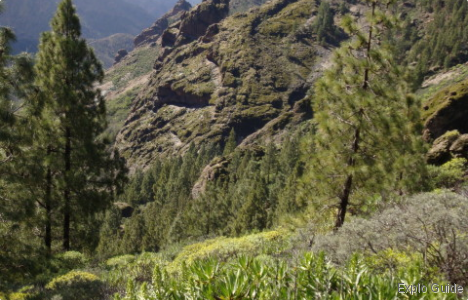 Roque de Nubio, Gran Canaria Island Explo-guide - Alternative travel database