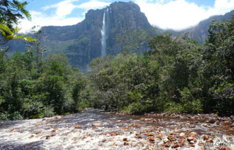 Salto Angel waterfall, Canaima Salto Angel waterfall, Canaima