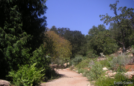 Santa Barbara Botanic garden, California ExploGuide - Off the beaten path travel and alternative tourism database, offtrack destinations