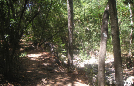 Santa Barbara Botanic garden, California ExploGuide - Off the beaten path travel and alternative tourism database, offtrack destinations