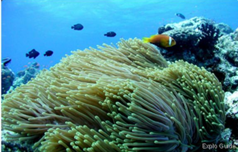 ExploGuide - Off the Path Travel and Alternative Tourism database ExploGuide - Off the Path Travel and Alternative Tourism database