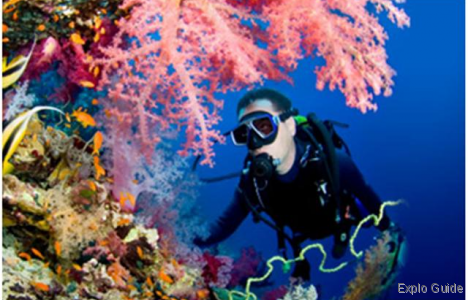 ExploGuide - Off the Path Travel and Alternative Tourism database ExploGuide - Off the Path Travel and Alternative Tourism database