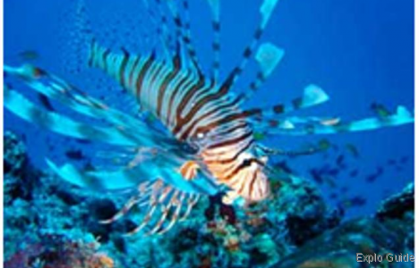 ExploGuide - Off the Path Travel and Alternative Tourism database ExploGuide - Off the Path Travel and Alternative Tourism database