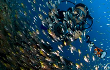 ExploGuide - Off the Path Travel and Alternative Tourism database